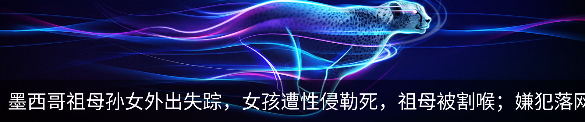 资讯动态
