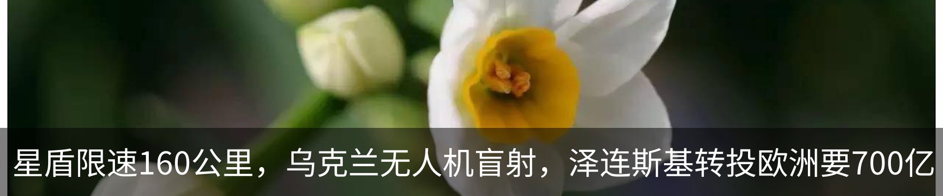 资讯动态