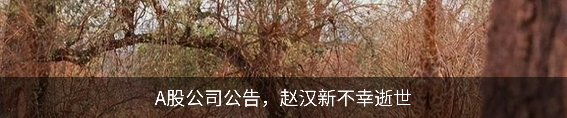 资讯动态